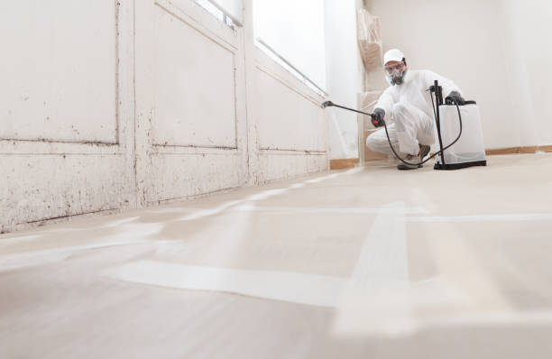 24/7 Emergency Mold Removal experts in Alexandria, VA