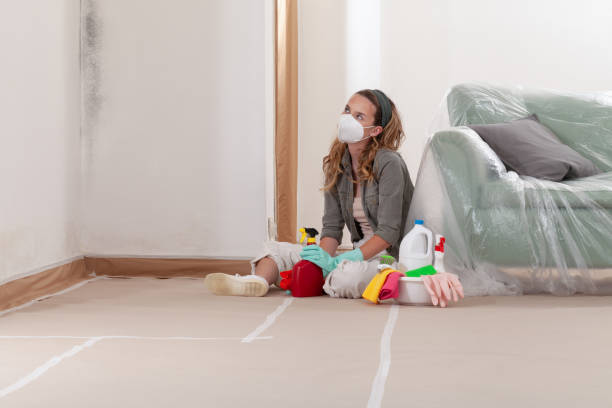 Reliable Mold Removal contractor in Alexandria, VA by WQB Mold Removal